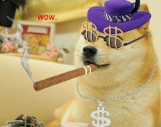 Dogecoin 核心1.8正式推出合并挖矿